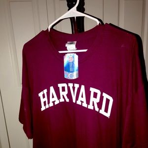 Harvard tee shirt